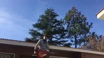 Ladilla tu puto perro