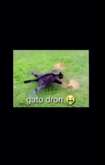 Hoy voy a jugar a Apex Legends