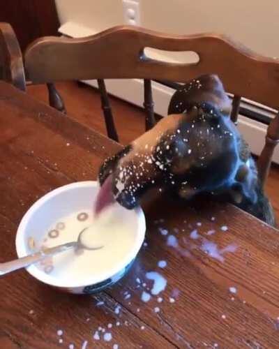 When you are a messy eater