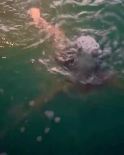 In the ocean, IG Post, April 2023