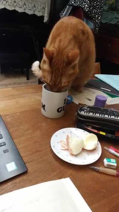 Brought myself water and this happened.