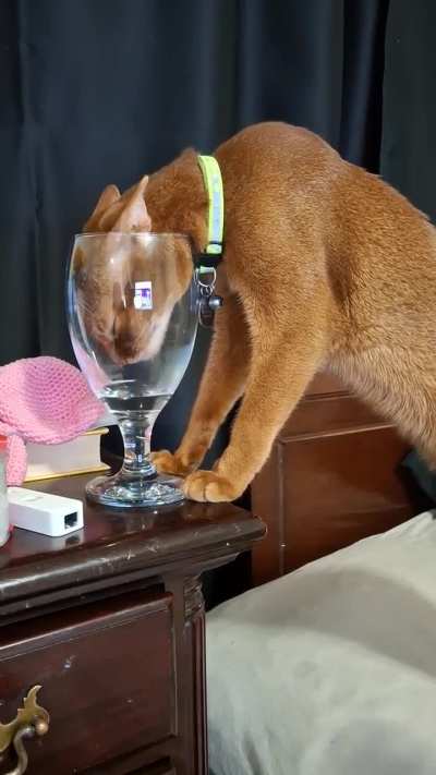 He has a water fountain and huge sitting dish of water, but he'd rather do this.