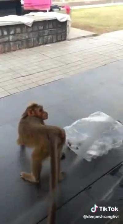 That's just rude.😡