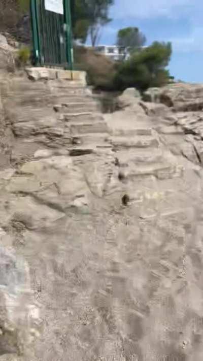 Enjoying my first time on a nudist beach