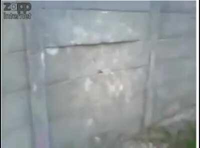 WSP trying to break a concrete wall