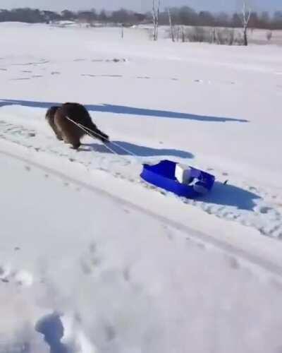 Fishing with a raccoon pal....