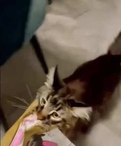 He always asks for more