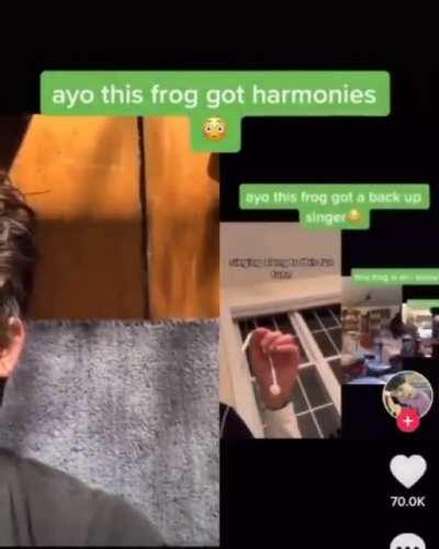 Shy Little Frog 👉👈