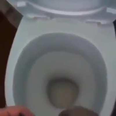 Whipping out his dig bick