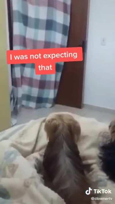 When mom leaves the room