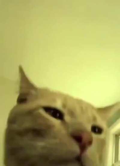 The show must go on!