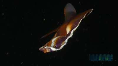 Allow me to transform myself and then back again