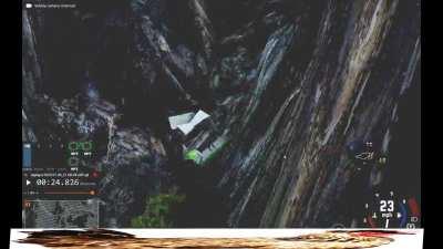 pigon UTTERLY DESTRoYED by a pack of chickenz (try not to cry challenge) 😥😭🤬