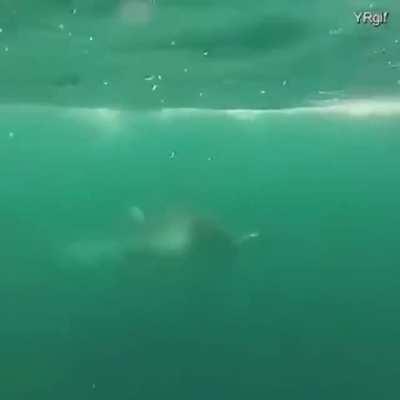🔥 Why I'm scared of the Ocean.