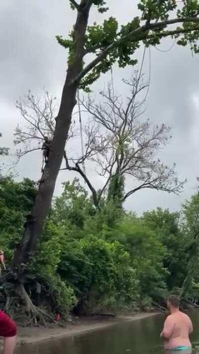 WCGW swinging from a tre