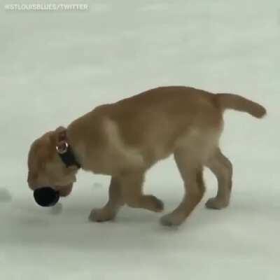 2 minutes for holding the stick