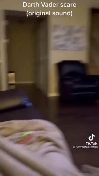 Dog was influenced by the wrong reputation...