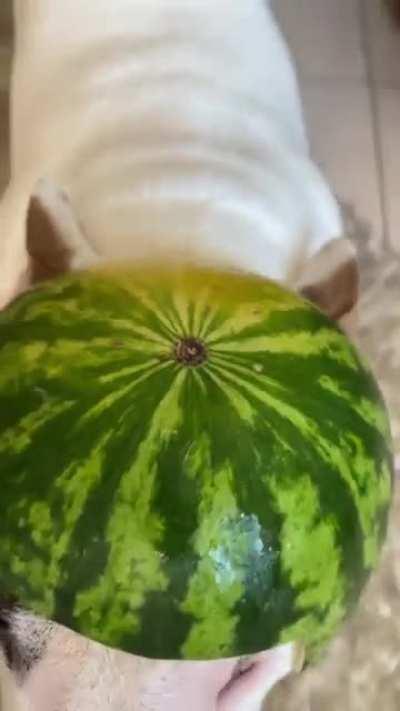 [Chinese > English] What does the person say at the end of the video?