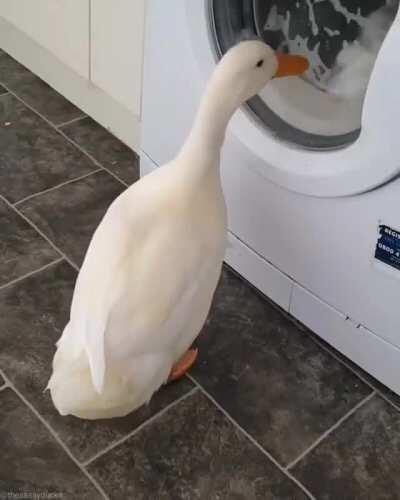 Ahh yes so mesmerizing