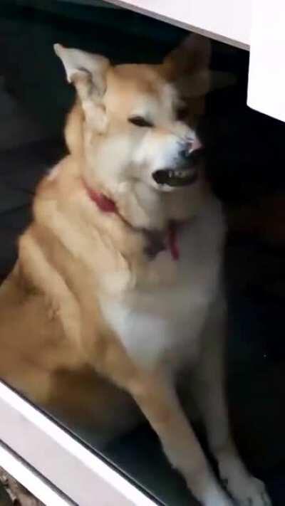 So will never be shopping here