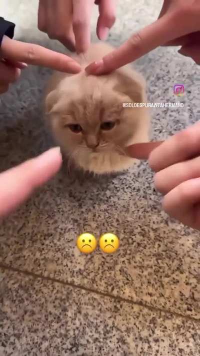 why they bully the car☹️☹️