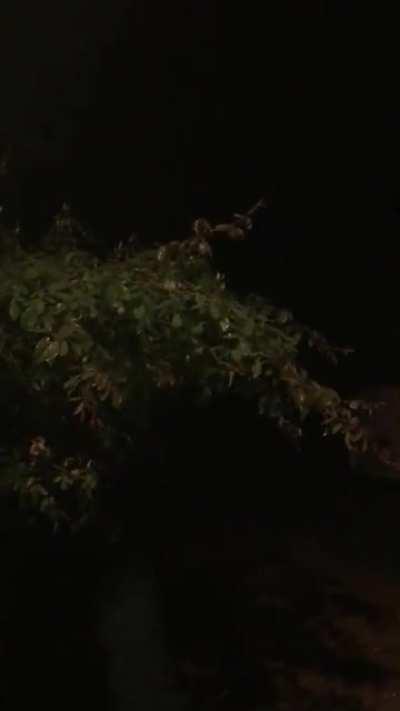 South east uk Rain at last