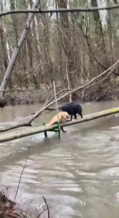 Maybe maybe maybe