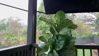 It hasn’t rained like this in Brisbane for many months. (Sound on)