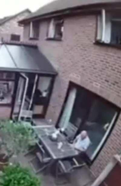 Nice day in the garden