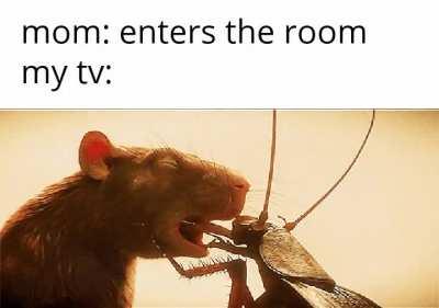 I just made this meme and it doesn't feel OC