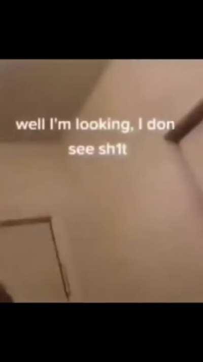 To see what the cat is seeing