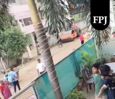 Served fresh and hot, ass whopper.