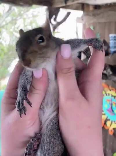 She loves a scritchy scratch