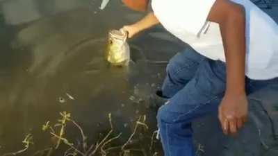 This little guy catches a huge fish then does the unexpected