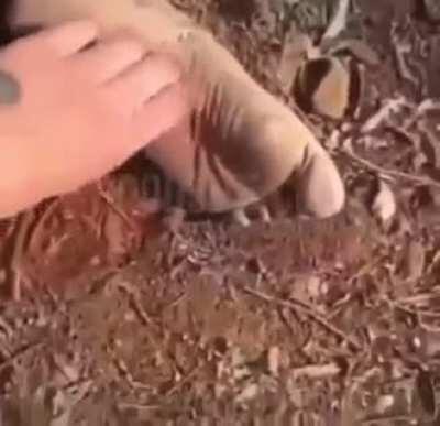 Hey stop that tickles!