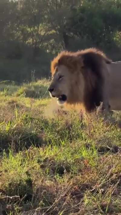 Now only one left... Oloimina the last Rocker standing 💔💔💔