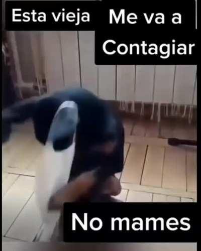 😂🤣🤨🤣😎🤣😂🤭🤭🤭🤭