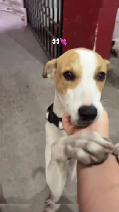 The amount of innocence they hold in their eyes even after everything they go through is something you won’t find anywhere else 🥺