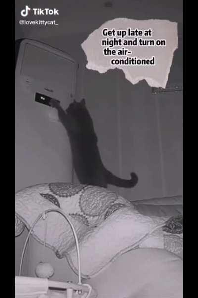 Fine I'll do it myself