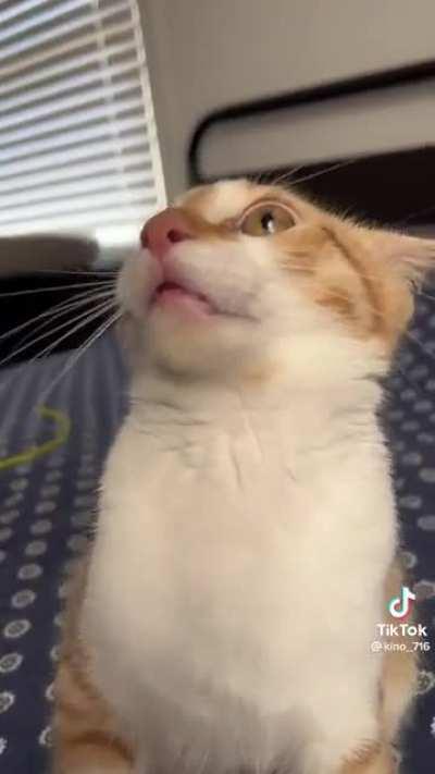 Tall man kidnapped from his M O T H E R