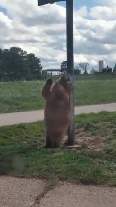 greatest satisfaction