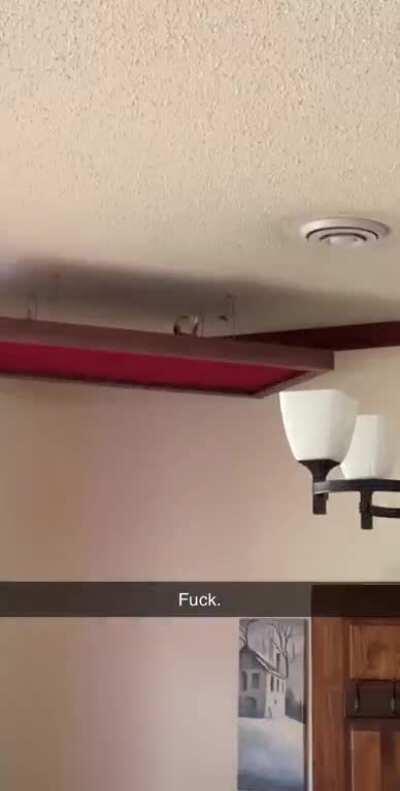 Government drone checking restaurants for re-open guideline violations