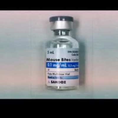 Hekimoğlu yeni sezon.