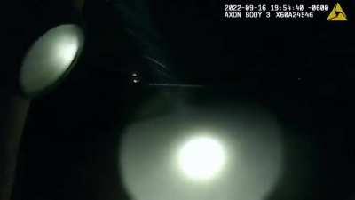 Police abandon handcuffed woman in squad car parked on tracks as train approaches. The woman suffered 9 broken ribs, broken arm, broken teeth, head, back and leg injuries, as cops fled. Paid leave for the cop.