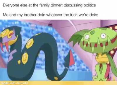 Fuck politics all my homies like Pokémon