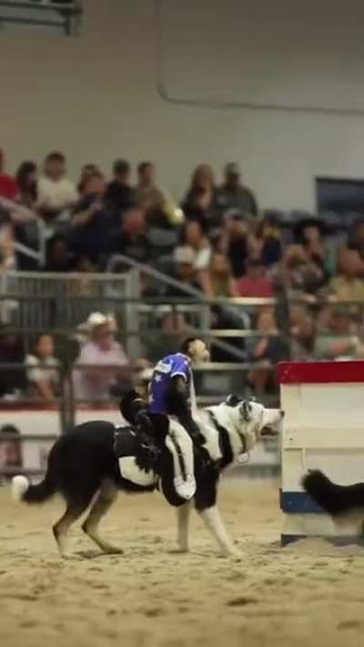 Post pra reviver o server