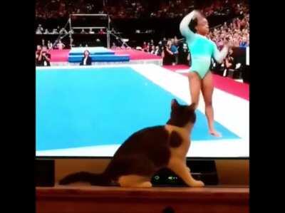 to do harm to the gymnast