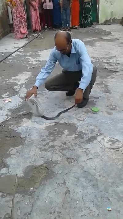 Catching a cobra with a plastic bottle