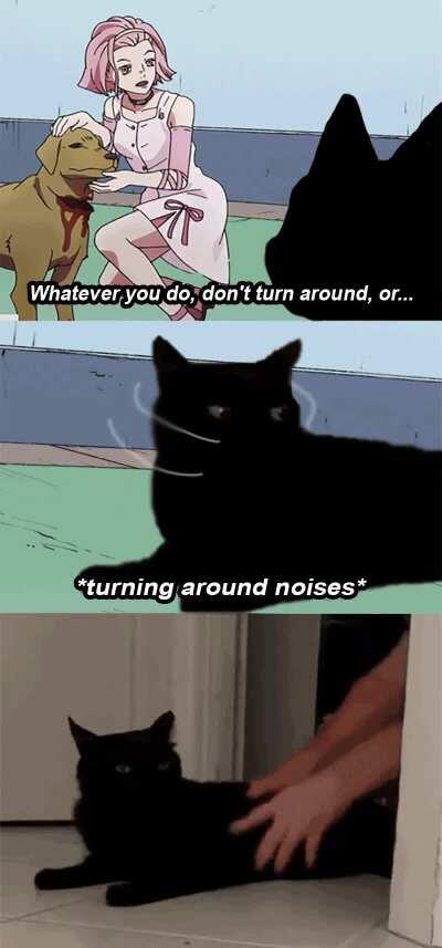 To the Shadow Realm you go