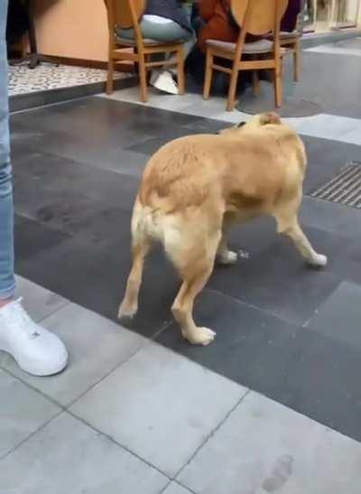 Sir, could you do that again pls?